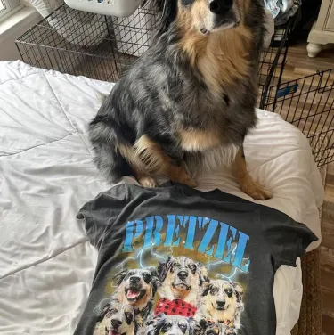 {"default":"ペットカスタムファッション | welikecustom.com"}
