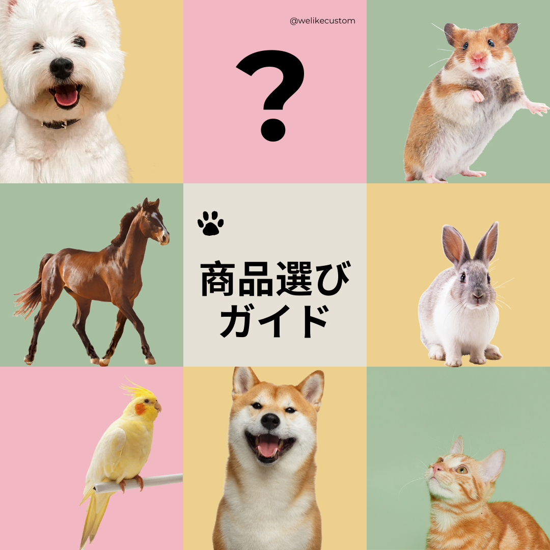 商品選びガイド（アパレル編）-welikecustom-MJ