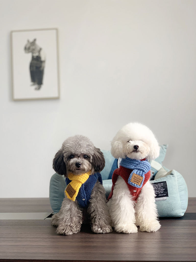 カスタマイズされたペットの名前が入ったシンプルなペットスカーフ-welikecustom-MJ