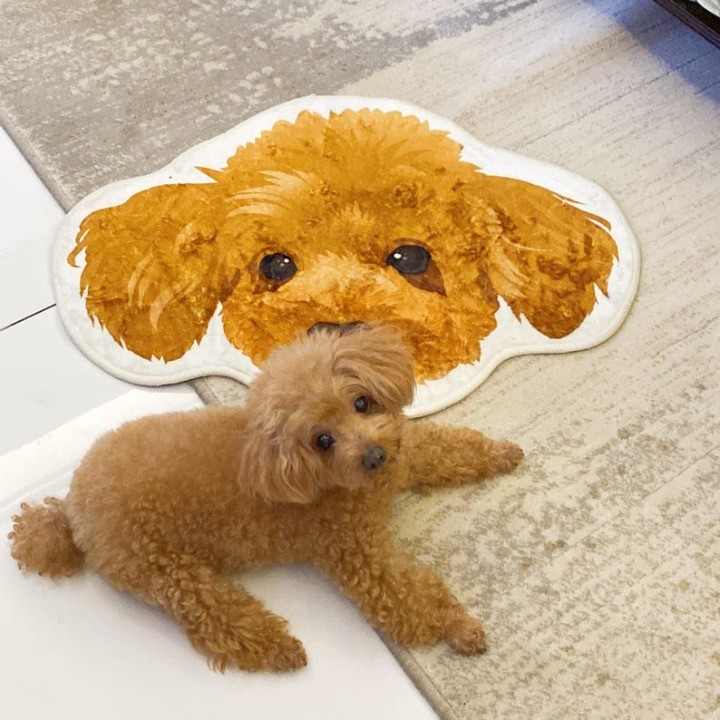 カスタマイズされたペットの肖像画の形をしたブランケット、ペット愛好家のための家具ギフト-welikecustom-MJ