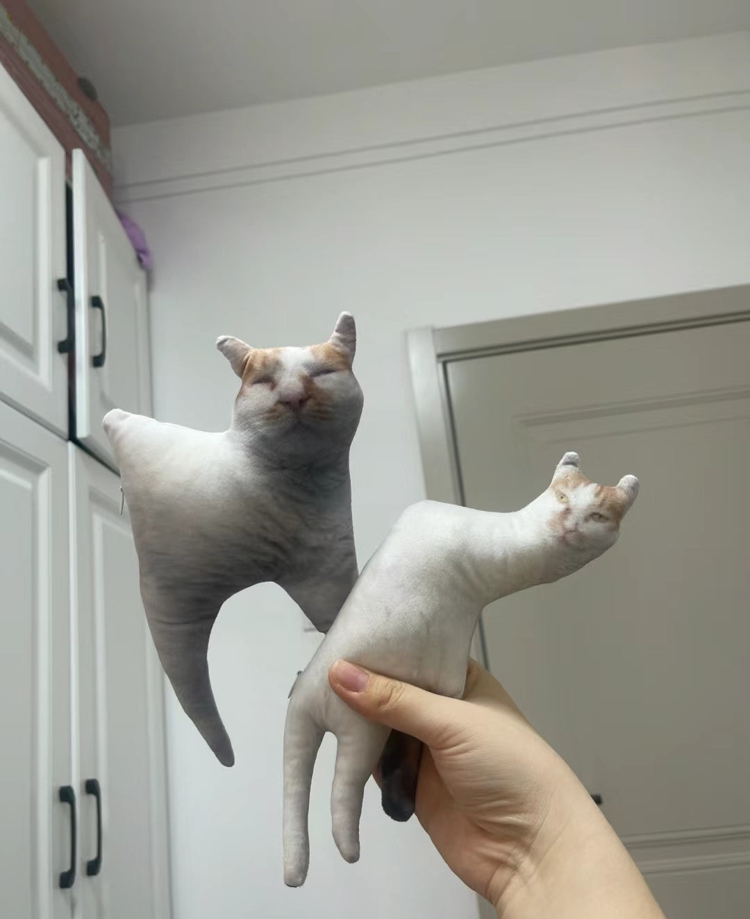 醜いペットの枕 カスタム 3D ペット肖像画 クッション-welikecustom-MJ