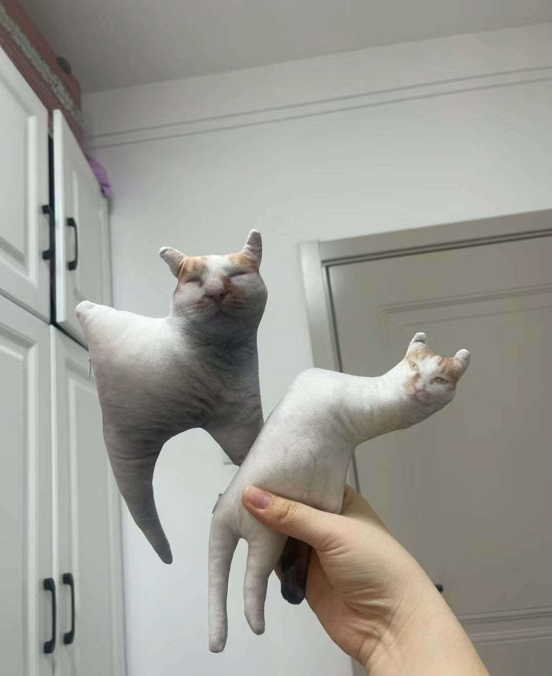 醜いペットの枕 カスタム 3D ペット肖像画 クッション-welikecustom-MJ