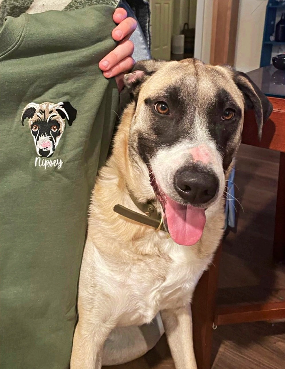 カスタム刺繍ペットポートレートパーカージップアップパーカー-welikecustom-MJ