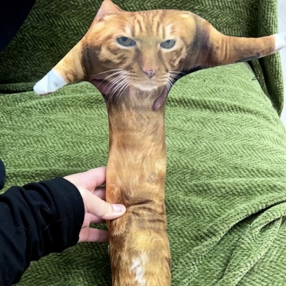 醜いペットの枕 カスタム 3D ペット肖像画 クッション-welikecustom-MJ