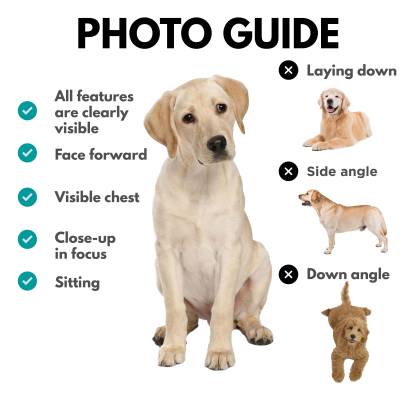 カスタムペットシャツ レトロ 90年代 カスタムヴィンテージプリント ユニセックス Tシャツ スウェットシャツ パーカー-welikecustom-MJ