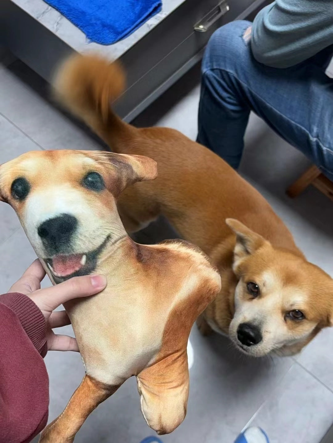 醜いペットの枕 カスタム 3D ペット肖像画 クッション-welikecustom-MJ