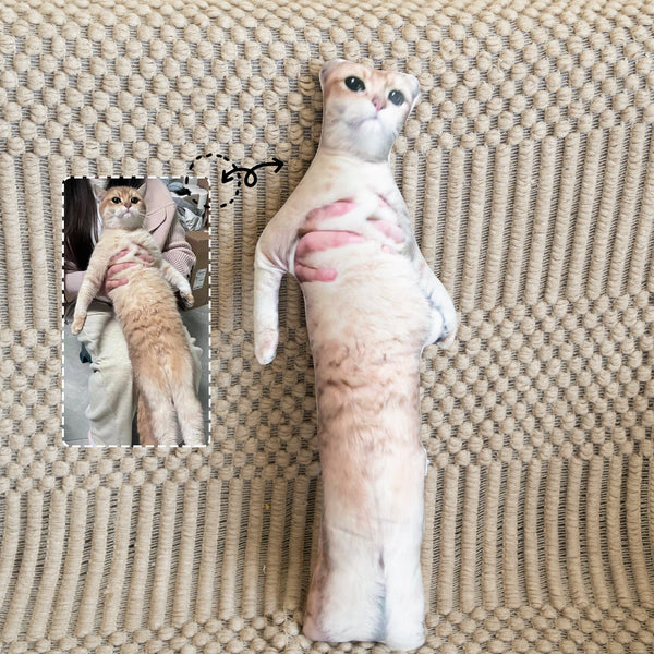 醜いペットの枕 カスタム 3D ペット肖像画 クッション-welikecustom-MJ