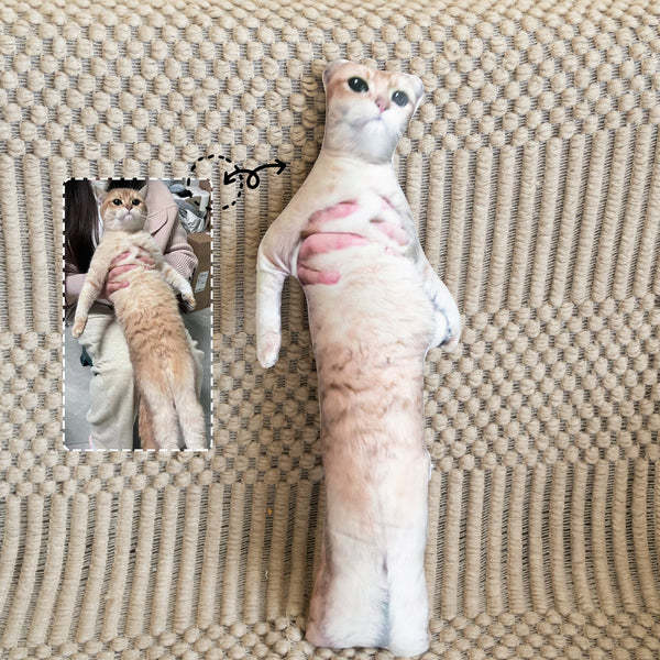醜いペットの枕 カスタム 3D ペット肖像画 クッション-welikecustom-MJ