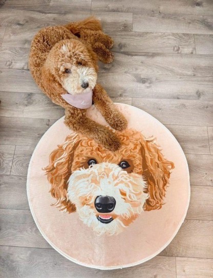 カスタマイズされたペットの肖像画の形をしたブランケット、ペット愛好家のための家具ギフト-welikecustom-MJ