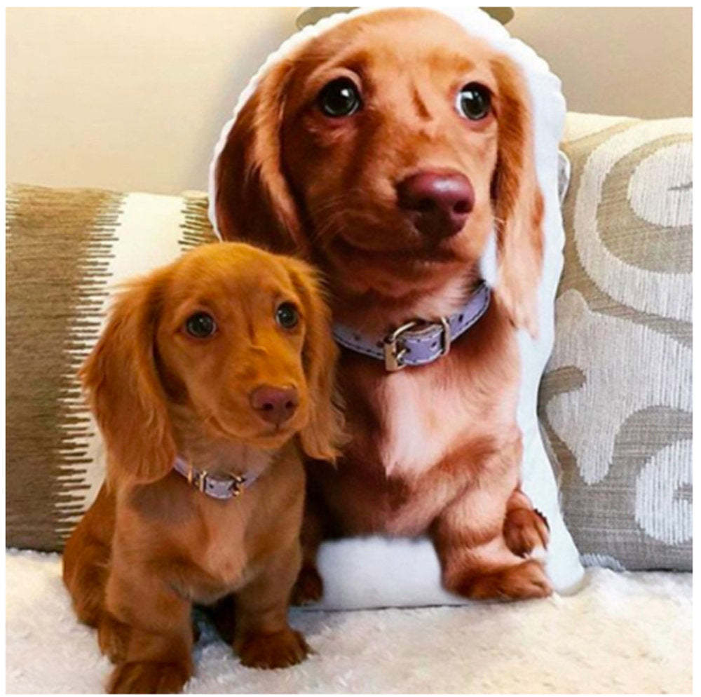 カスタムペット枕、カスタムペット型枕、クリスマスプレゼント、パーソナライズされた形の枕-welikecustom-MJ