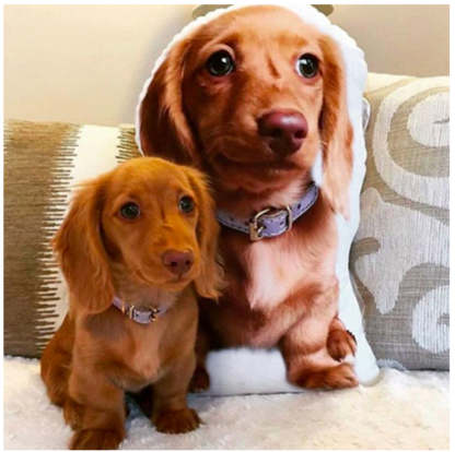 カスタムペット枕、カスタムペット型枕、クリスマスプレゼント、パーソナライズされた形の枕-welikecustom-MJ