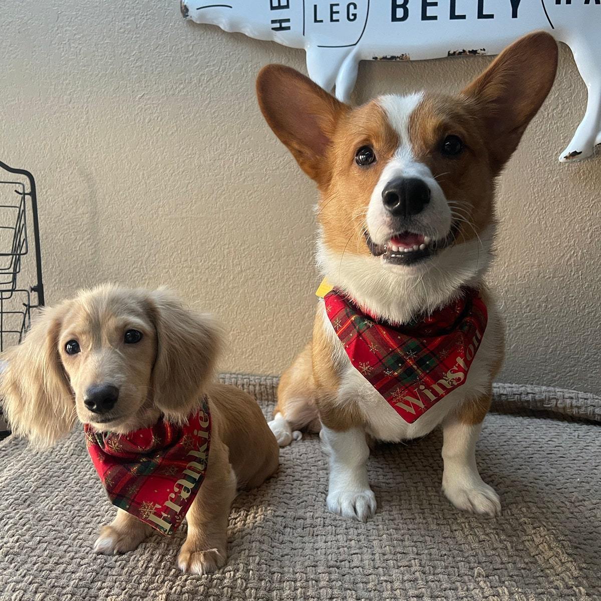 ホットスタンピング名入りのパーソナライズされたクリスマスペットスカーフ-welikecustom-MJ
