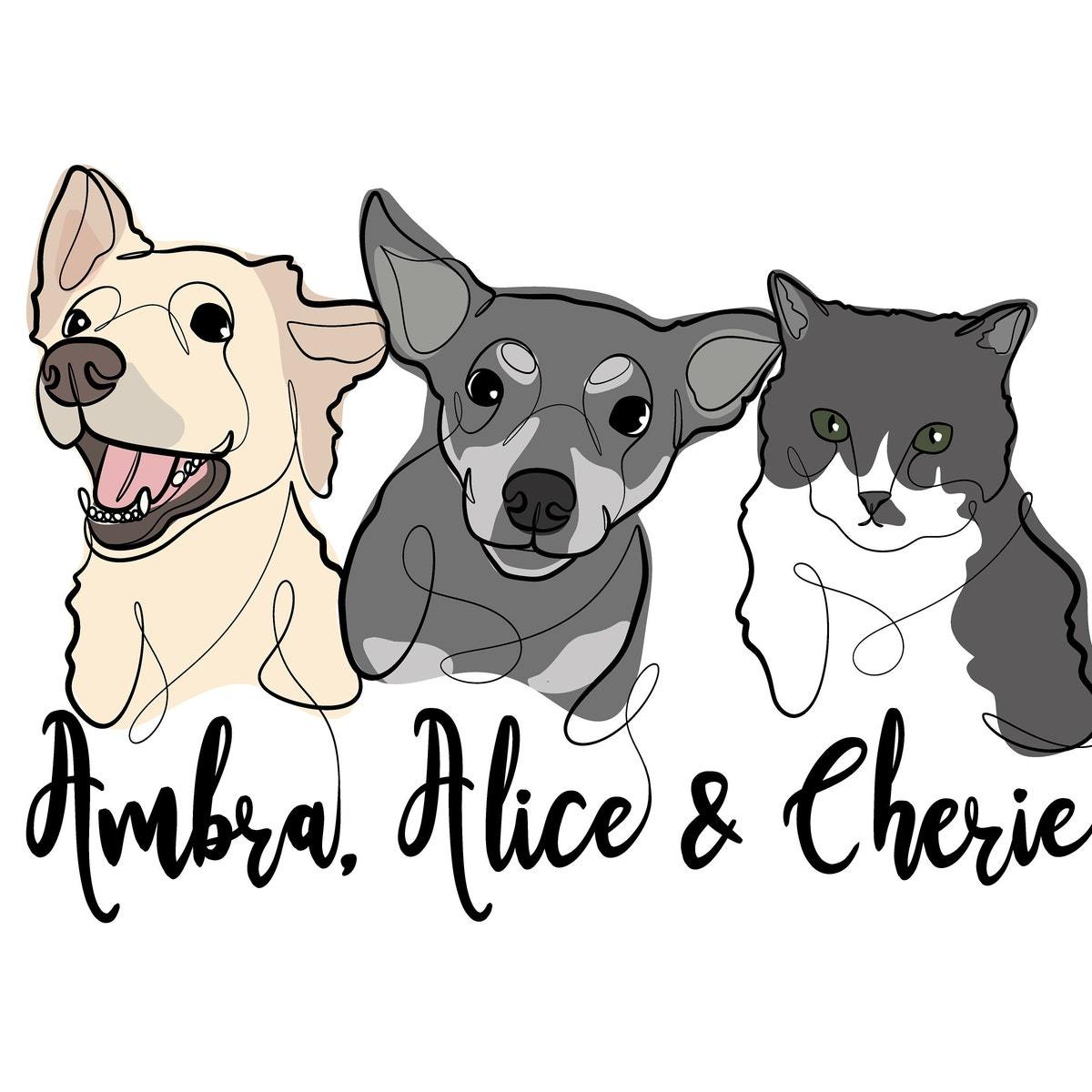 カスタム ペットの写真の抽象的なスタイルのブランケット-welikecustom-MJ