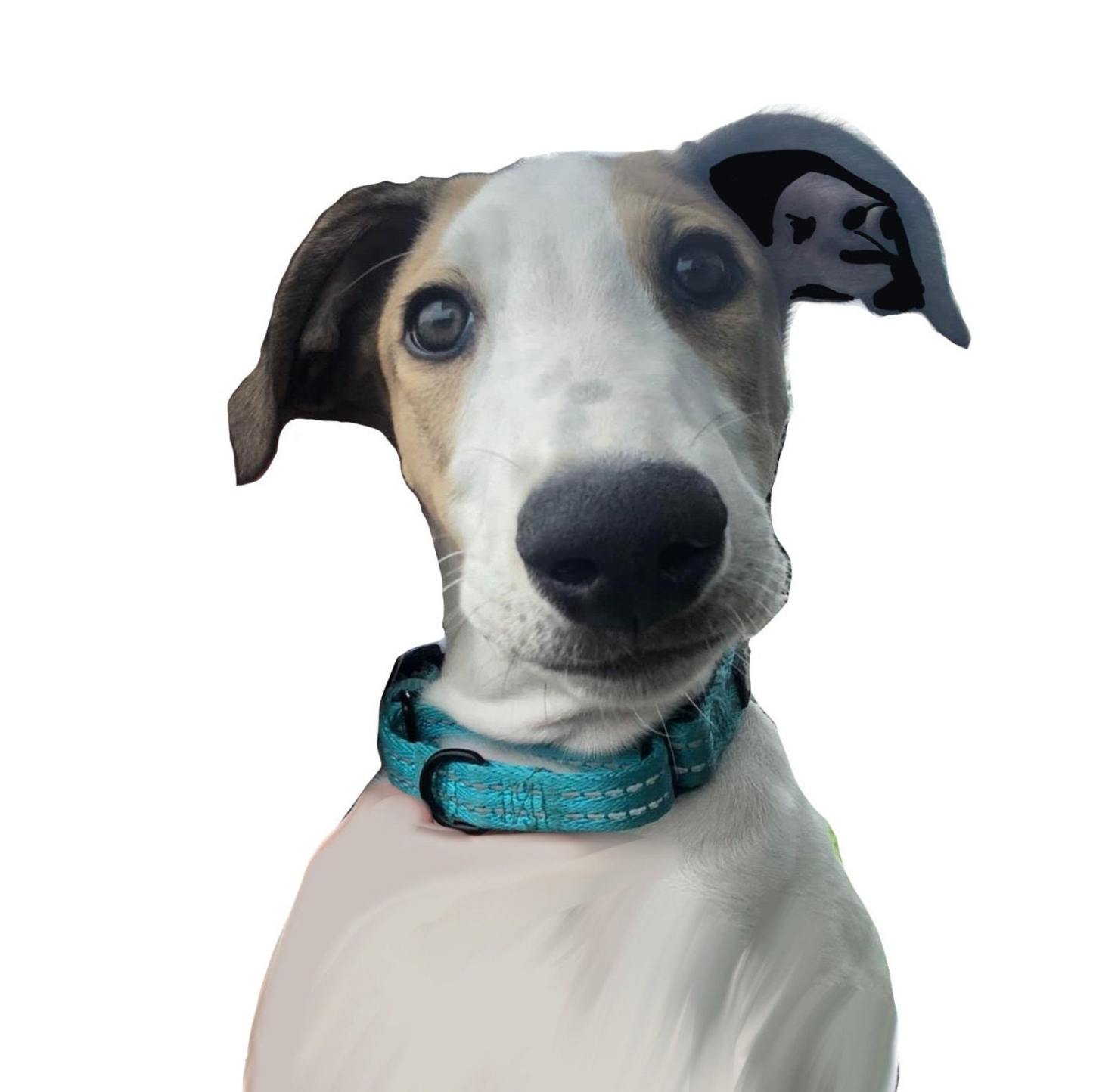 （フレームなし）モノクロ彫刻風 ペットポートレート｜写真から作る高級感あるペット似顔絵アート-welikecustom-MJ