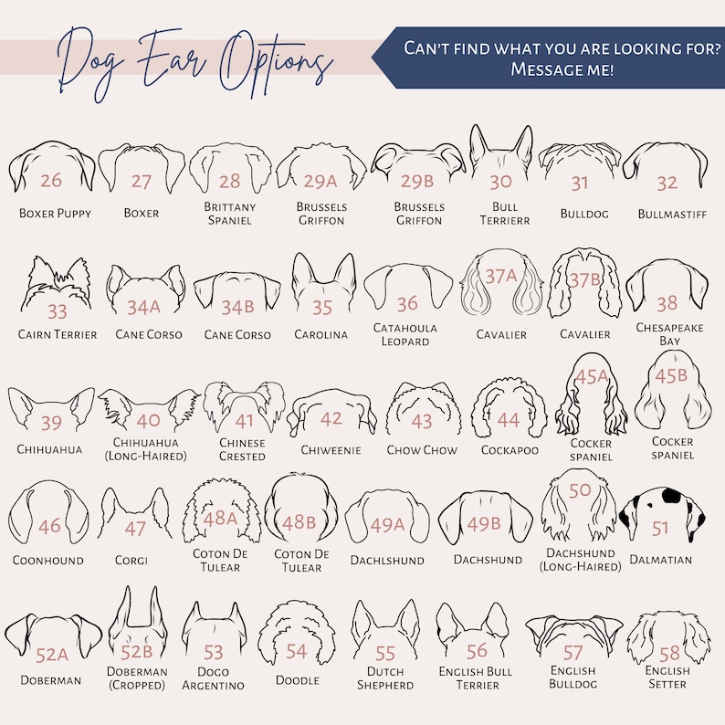 カスタムペットの耳パターンのグラデーションガラス-welikecustom-MJ