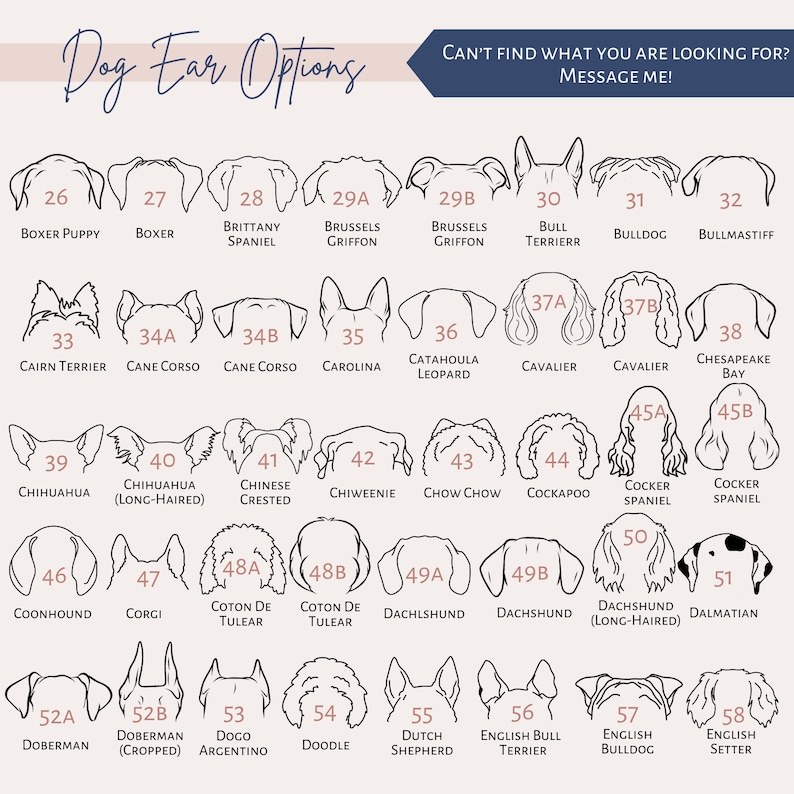 カスタムペットの耳パターンのグラデーションガラス-welikecustom-MJ