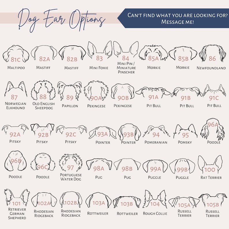 カスタムペットの耳パターンのグラデーションガラス-welikecustom-MJ