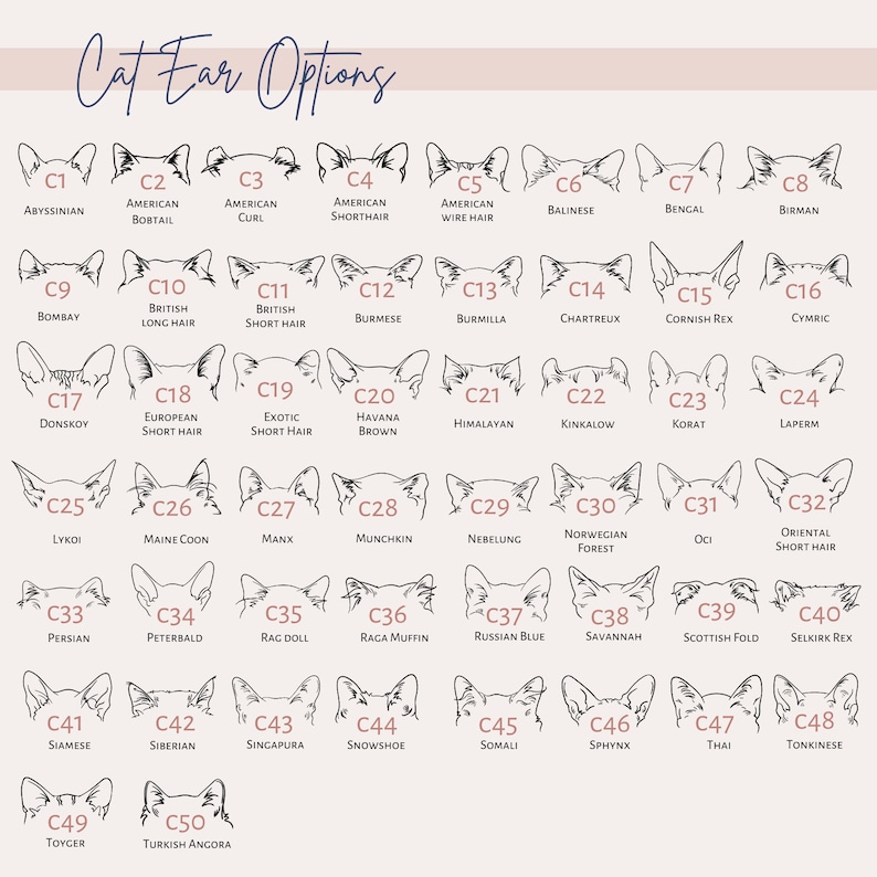 カスタムペットの耳パターンのグラデーションガラス-welikecustom-MJ