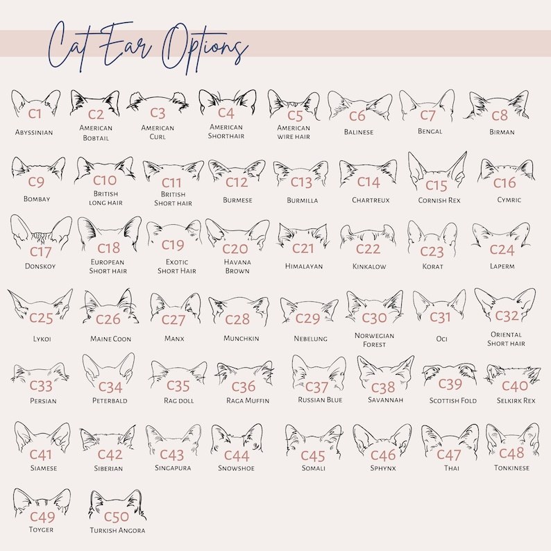 カスタムペットの耳パターンのグラデーションガラス-welikecustom-MJ