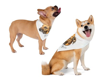 カスタマイズされたペットの写真ペットスカーフ-welikecustom-MJ