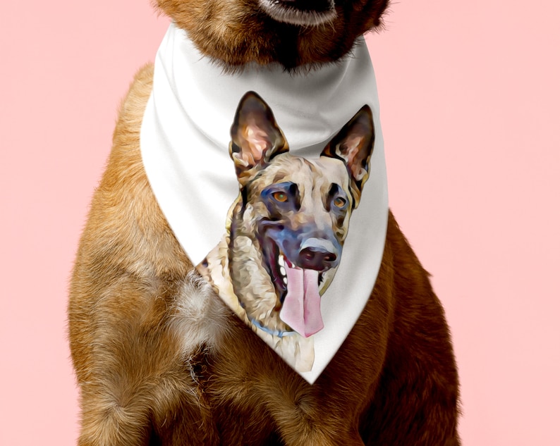 カスタマイズされたペットの写真ペットスカーフ-welikecustom-MJ