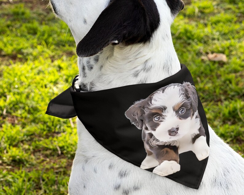 カスタマイズされたペットの写真ペットスカーフ-welikecustom-MJ