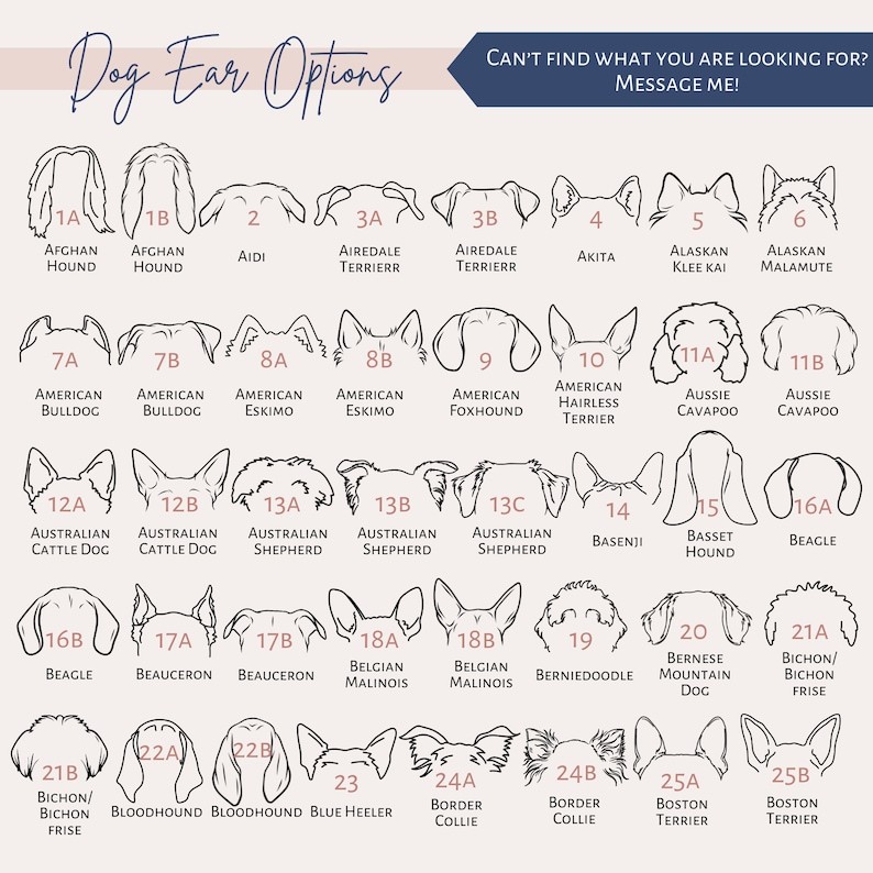 カスタムペットの耳パターンのグラデーションガラス-welikecustom-MJ