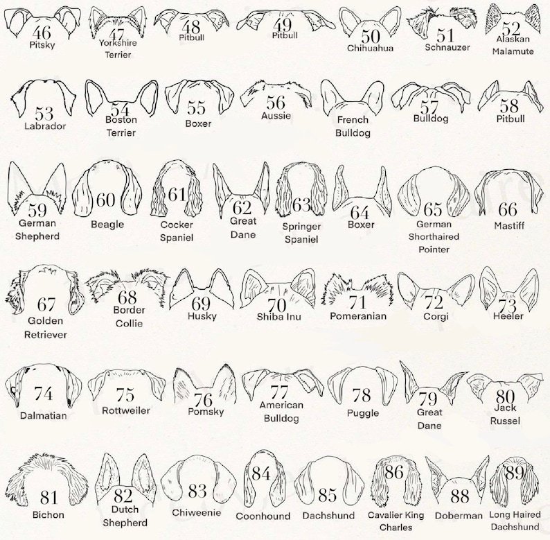 ペットの耳をカスタマイズした手描きカップ、愛犬家の誕生日プレゼント-welikecustom-MJ