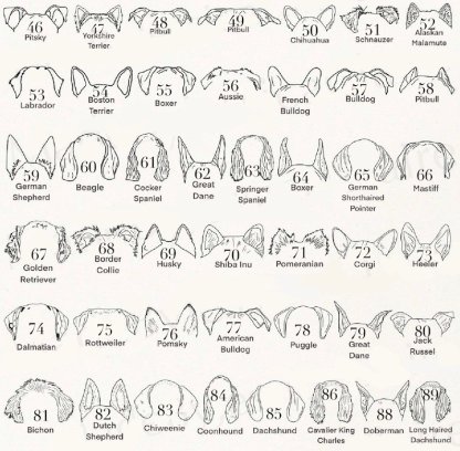 ペットの耳をカスタマイズした手描きカップ、愛犬家の誕生日プレゼント-welikecustom-MJ