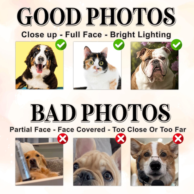 ハロウィンの雰囲気カスタムペット刺繡Tシャツ、トレーナー、パーカ-welikecustom-MJ