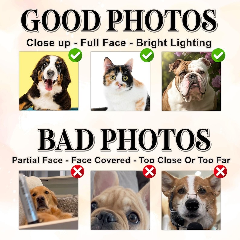 ハロウィンの雰囲気カスタムペット刺繡Tシャツ、トレーナー、パーカ-welikecustom-MJ