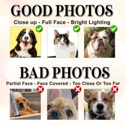 ハロウィンの雰囲気カスタムペット刺繡Tシャツ、トレーナー、パーカ-welikecustom-MJ