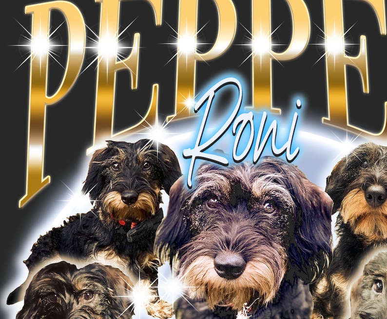 カスタムペット写真海賊風 T シャツ、レトロデザインパーソナライズシャツ-welikecustom-MJ