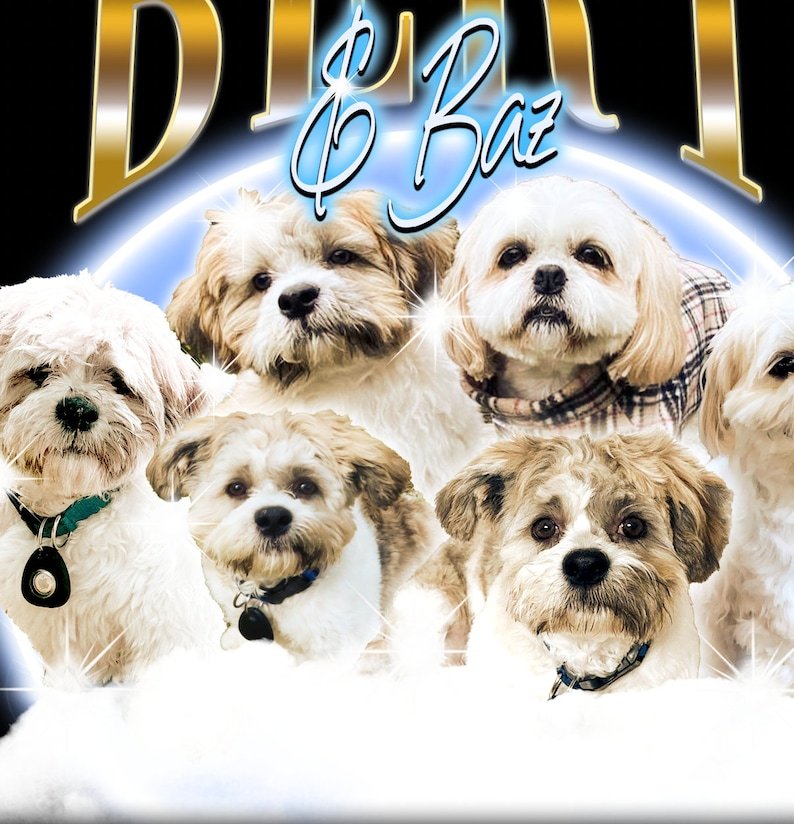 カスタムペット写真海賊風 T シャツ、レトロデザインパーソナライズシャツ-welikecustom-MJ