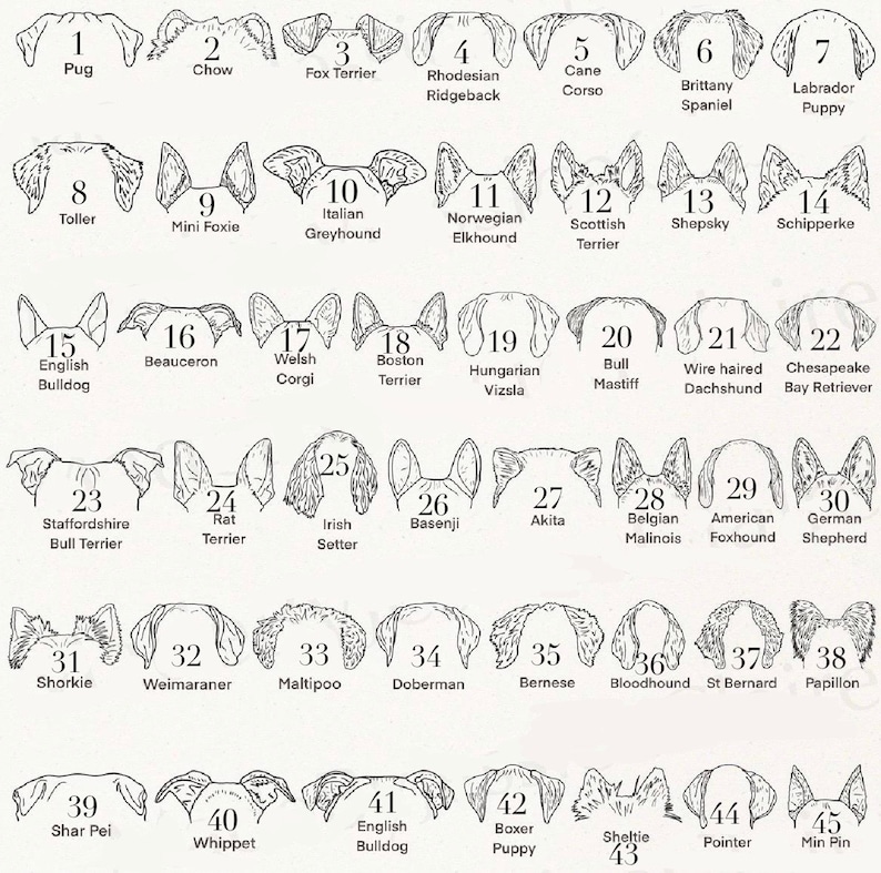 ペットの耳をカスタマイズした手描きカップ、愛犬家の誕生日プレゼント-welikecustom-MJ