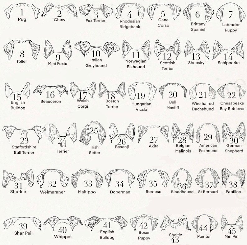 ペットの耳をカスタマイズした手描きカップ、愛犬家の誕生日プレゼント-welikecustom-MJ