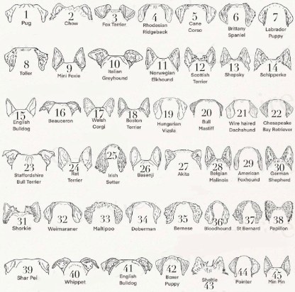 ペットの耳をカスタマイズした手描きカップ、愛犬家の誕生日プレゼント-welikecustom-MJ