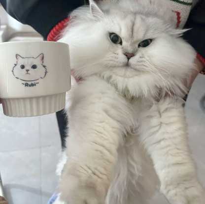 手描きのペットの肖像のカスタムコーヒーカップ、写真の手描きのペットの肖像のカップ、箇性的なペットの絵画カップ-welikecustom-MJ