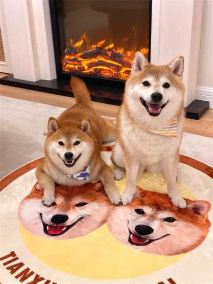 カスタムペットポートレートラグ、犬用カスタムラグ、ペットラグ、ペットへのギフト-welikecustom-MJ