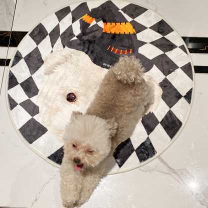 カスタムペット写真ラウンドラグホームデコレーション、パーソナライズされたペットメモリアルギフト-welikecustom-MJ