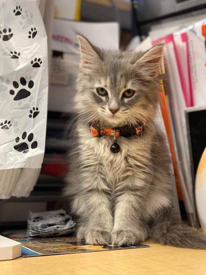 （フレームなし）モノクロ彫刻風 ペットポートレート｜写真から作る高級感あるペット似顔絵アート-welikecustom-MJ