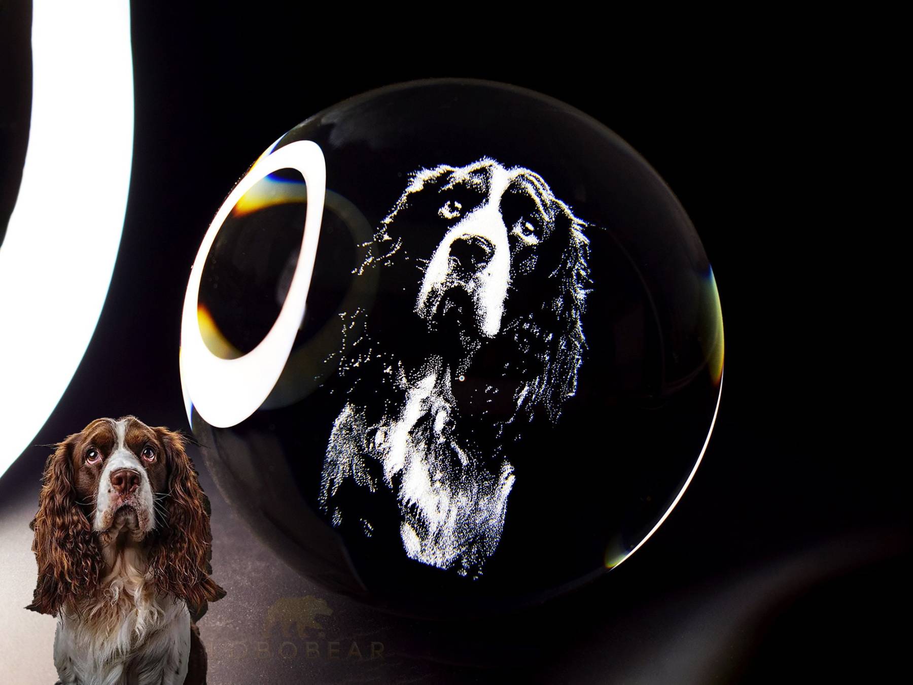 カスタムペット写真用のクリスタルボールナイトライト-welikecustom-MJ