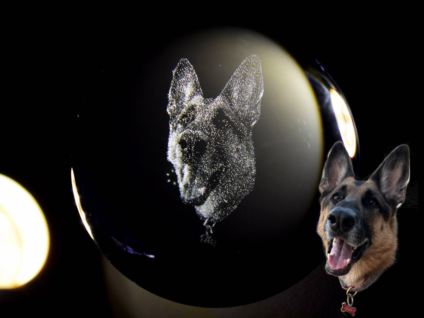 カスタムペット写真用のクリスタルボールナイトライト-welikecustom-MJ