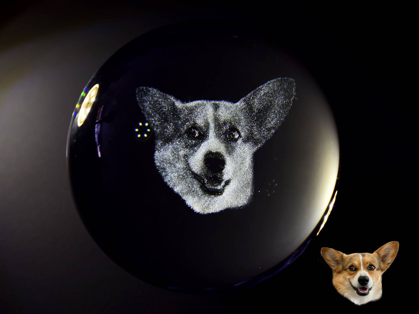 カスタムペット写真用のクリスタルボールナイトライト-welikecustom-MJ