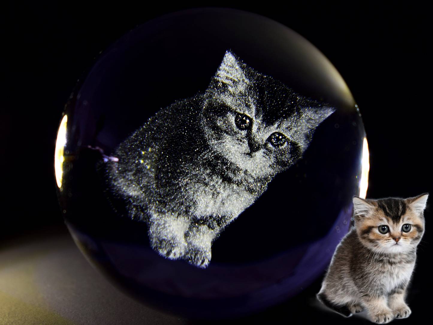 カスタムペット写真用のクリスタルボールナイトライト-welikecustom-MJ