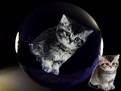 カスタムペット写真用のクリスタルボールナイトライト-welikecustom-MJ