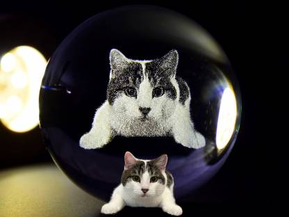 カスタムペット写真用のクリスタルボールナイトライト-welikecustom-MJ