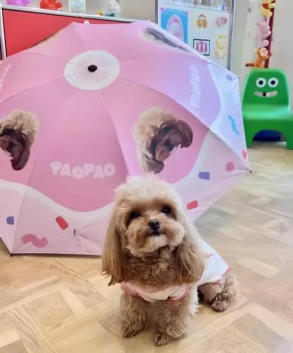 「ドーナツ」カスタマイズペット写真晴雨傘-welikecustom-MJ