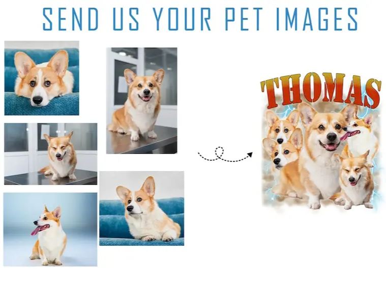 ペットの写真をプリントしたレトロなサンセットスタイルのヒップホップTシャツ、スウェットシャツ、パーカー-welikecustom-MJ