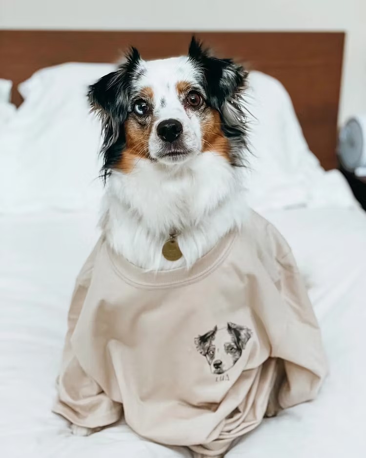 ペットの似顔絵入りクルーネックスウェット＆Tシャツ — ペット好きの方へのオリジナルギフト
